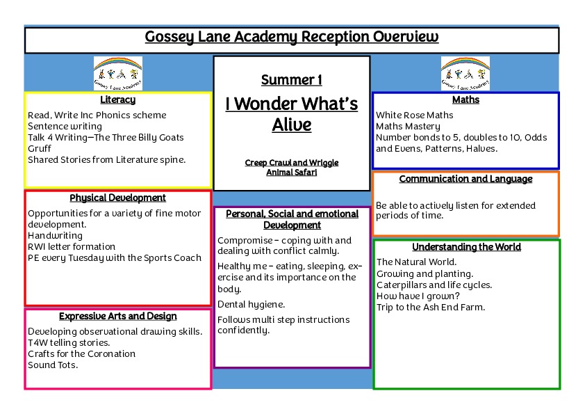 Curriculum overview summer 1