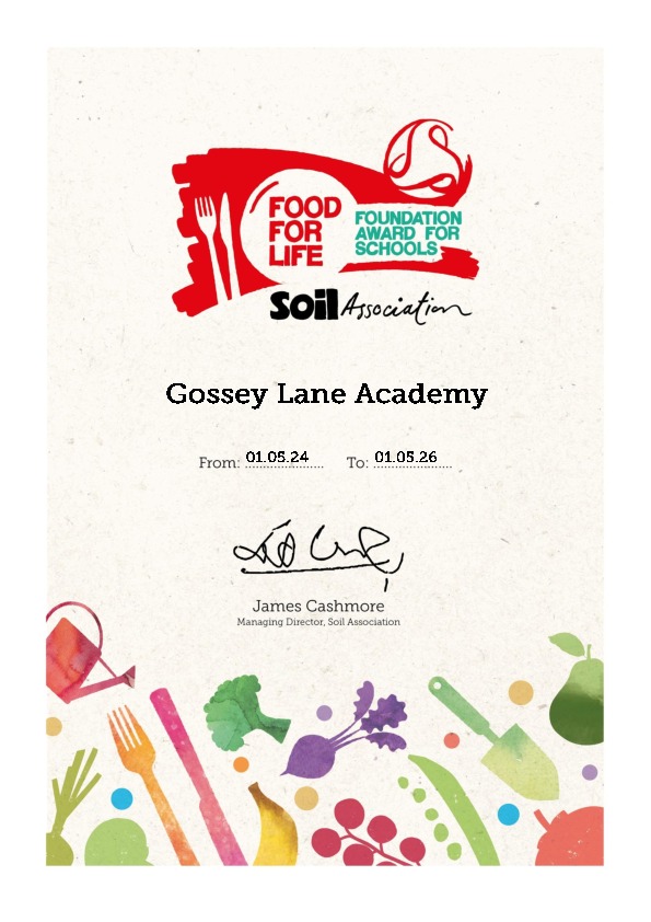Gossey lane academy foundation cert